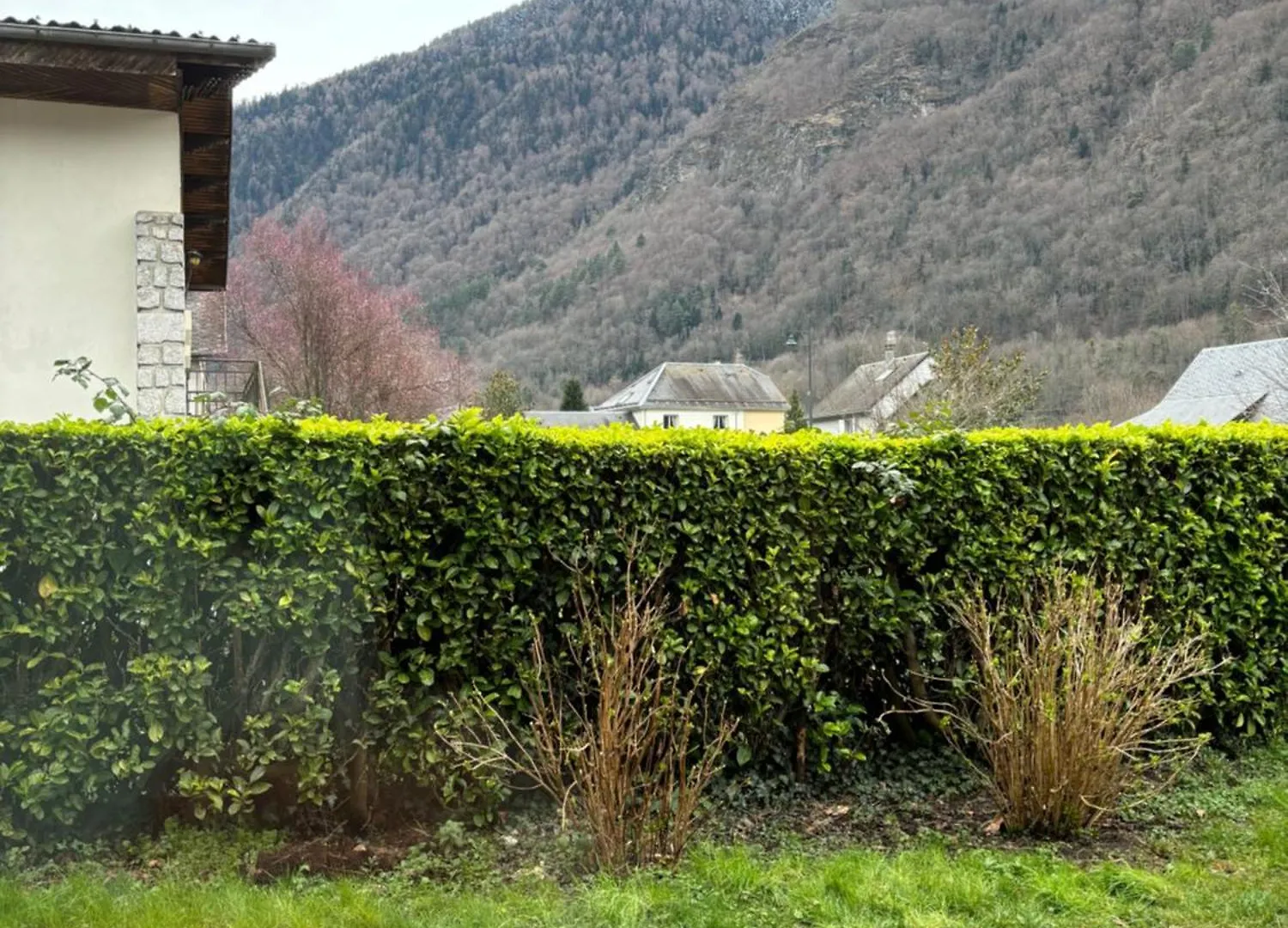 Appartement L'Oursiere A Saint Mamet